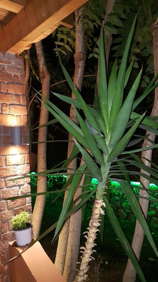 Vila Thailanda In Katakolo Pírgos エクステリア 写真