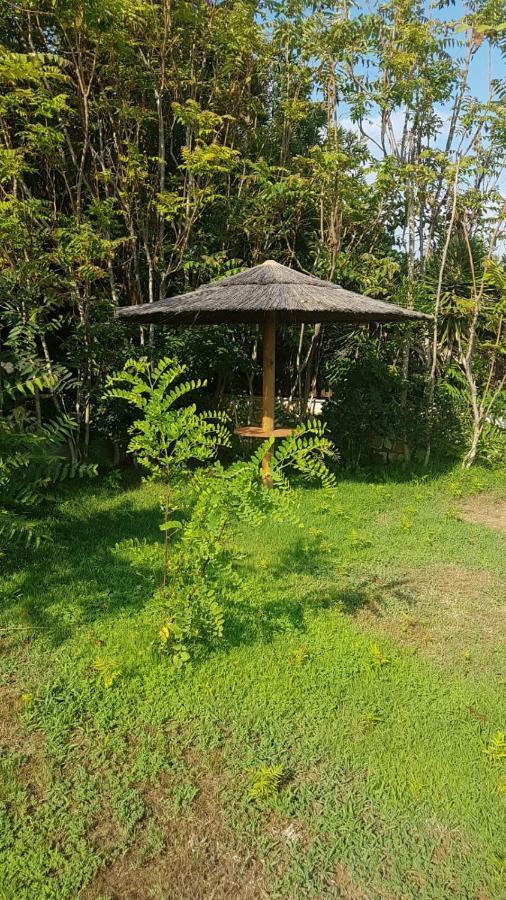 Vila Thailanda In Katakolo Pírgos エクステリア 写真
